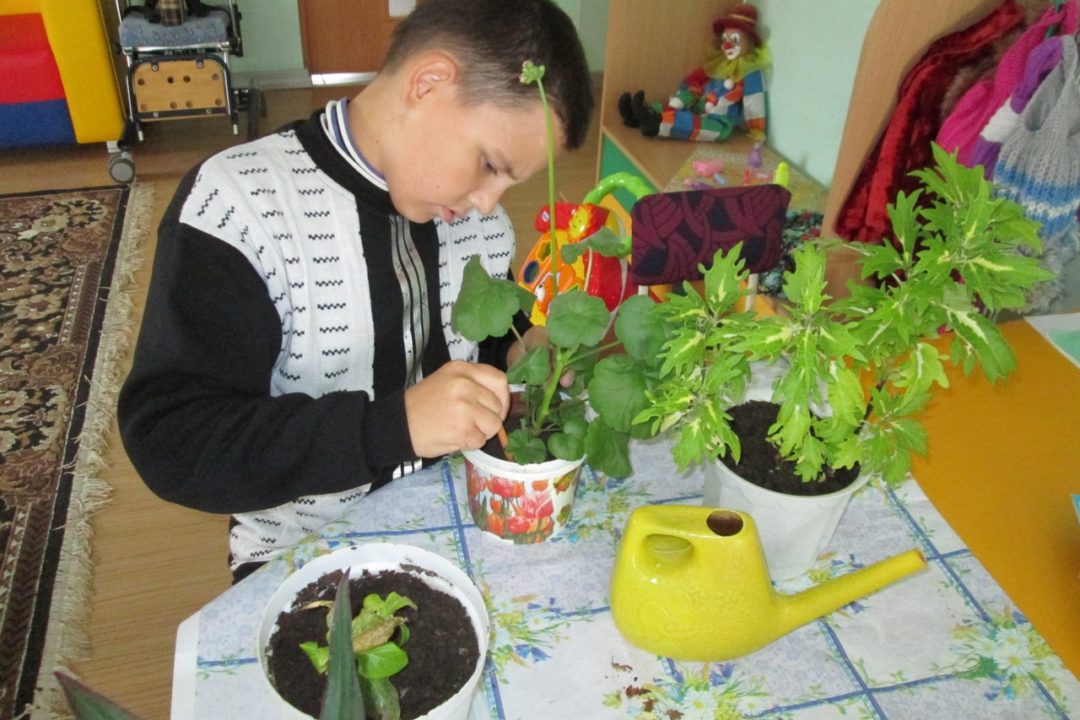 Занятие по трудовой терапии «Уход за комнатными растениями»