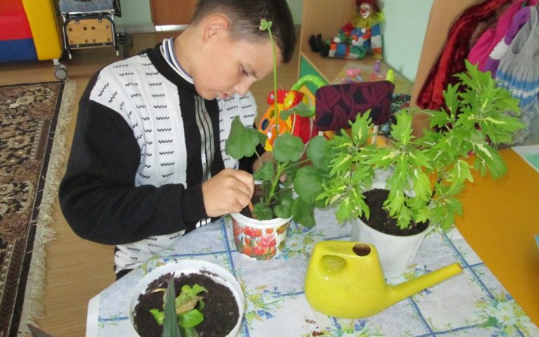 Занятие по трудовой терапии «Уход за комнатными растениями»